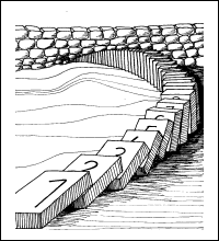 Induktion &ndash; &uuml;ber jede Grenze hinaus (Diana Schmutzler, Panketal)